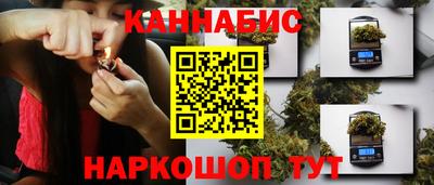 соль ск Гатчина