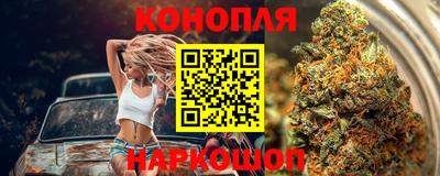 амф Гай