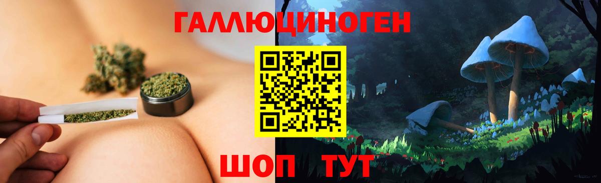 Псилоцибиновые грибы Psilocybe  Вход с VPN  Иркутск 